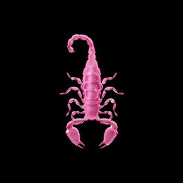 Album cover of Savage Refix