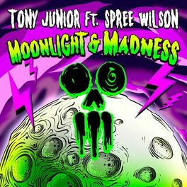 Album cover of Moonlight & Madness