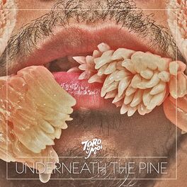 Album cover of Underneath The Pine