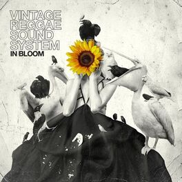 Album cover of In Bloom