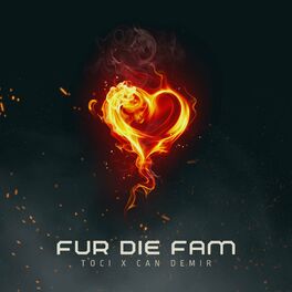 Album cover of Fur Die Fam