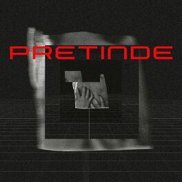 Album cover of Pretinde