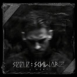 Album cover of SEELE SCHWARZ