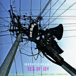 Album cover of Sea of Joy
