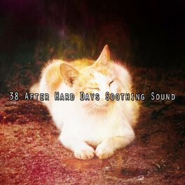 Album cover of 38 After Hard Days Soothing Sound