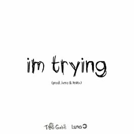 Album cover of im trying