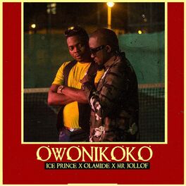 Album cover of Owonikoko