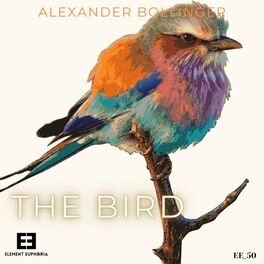 Album cover of The Bird