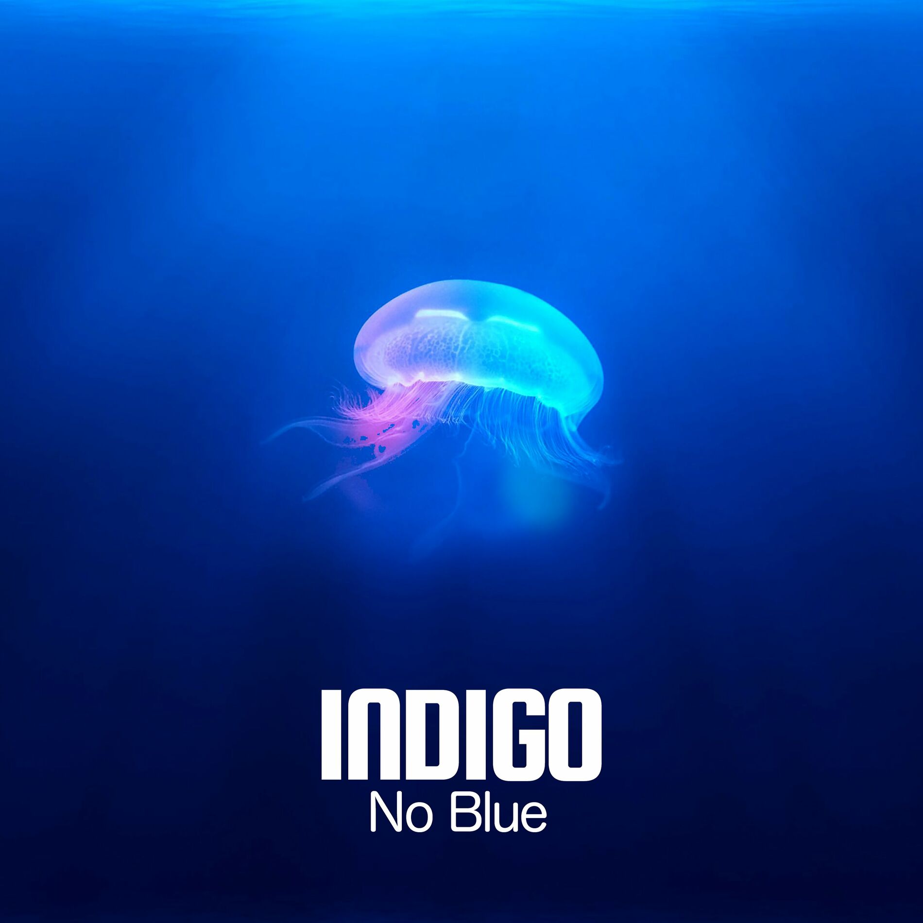 Indigo: альбомы, песни, плейлисты | Слушайте на Deezer