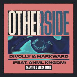 Album cover of Otherside (feat. ANML KNGDM) (Chapter & Verse Remix)