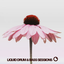 Album cover of Liquid Drum & Bass Sessions 2020 Vol 10