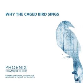 Album cover of Why The Caged Bird Sings