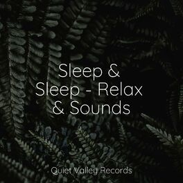 Album cover of Sleep & Sleep - Relax & Sounds