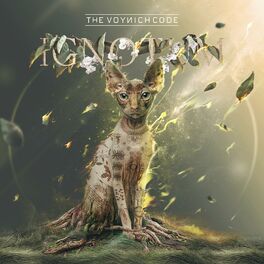 Album cover of Ignotum