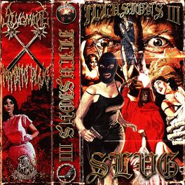 Album cover of ILLUSIONS III
