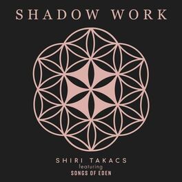 Album cover of Shadow Work