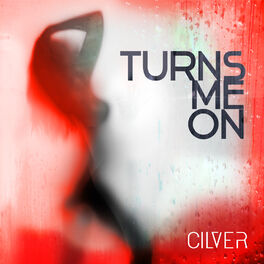 Album cover of Turns Me On