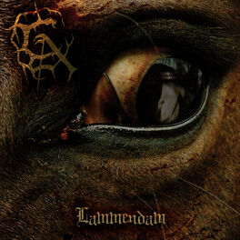 Album cover of Lammendam