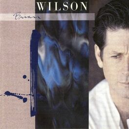 Album cover of Brian Wilson