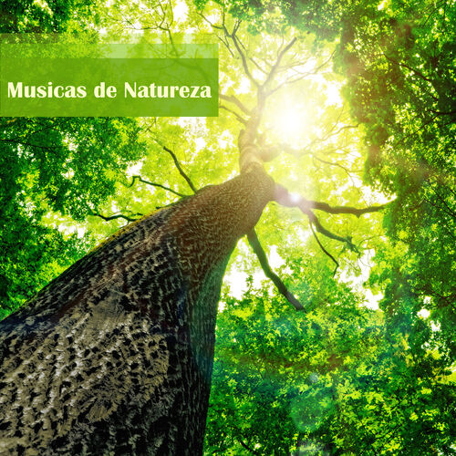 Música de Yoga - song and lyrics by Relaxanna