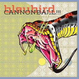 Album cover of Cannonball!!!