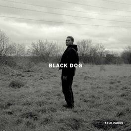Album cover of Black Dog