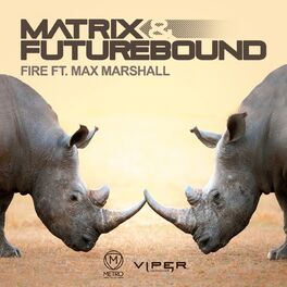 Album cover of Fire