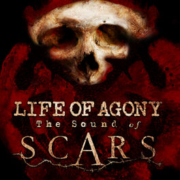 Album cover of The Sound of Scars