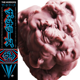 Album cover of V