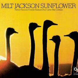Album cover of Sunflower (CTI Records 40th Anniversary Edition)