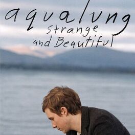 Album cover of Strange & Beautiful