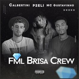Album cover of FML BRISA CREW