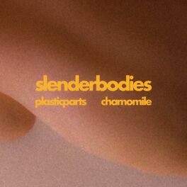 Album cover of plastic parts / chamomile