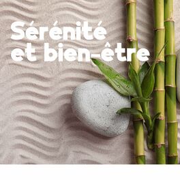 Musique zen massage: musique de fond pour harmonie, sérénité et bien-être,  musique relaxante pour le massage et relax - Album by Oasis de Détente et  Relaxation - Apple Music