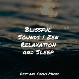 Album cover of Blissful Sounds | Zen Relaxation and Sleep