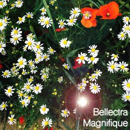Album cover of Magnifique