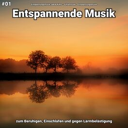 Album cover of #01 Entspannende Musik zum Beruhigen, Einschlafen und gegen Lärmbelästigung