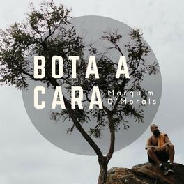 Album cover of Bota a Cara