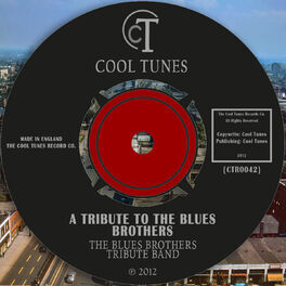 Album cover of A Tribute To The Blues Brothers