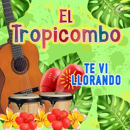 Album cover of Te Vi Llorando