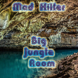 Album cover of Jungle Room