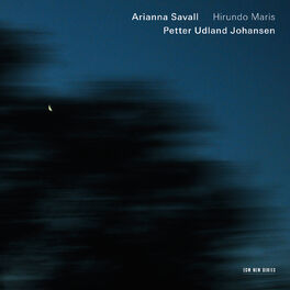 Album cover of Hirundo Maris - Chants du Sud et du Nord
