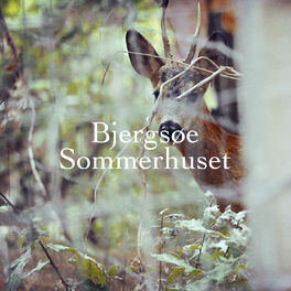 Album cover of Sommerhuset