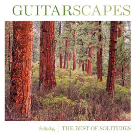 Album cover of Guitarscapes