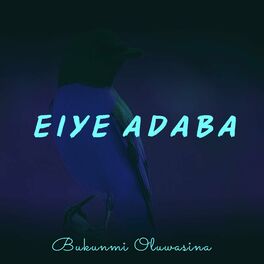 Album cover of Eiye Adaba