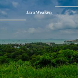 Album cover of Java Weaken