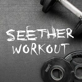 Album cover of Seether Workout