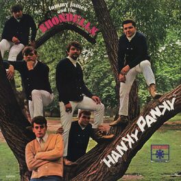 Album cover of Hanky Panky