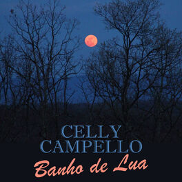 Album cover of Banho de Lua