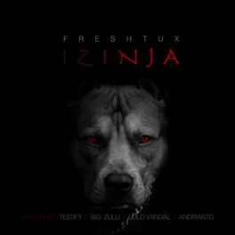 Album cover of Izinja (feat. Big Zulu, Testify, Lolo Vandal & Adrianto)